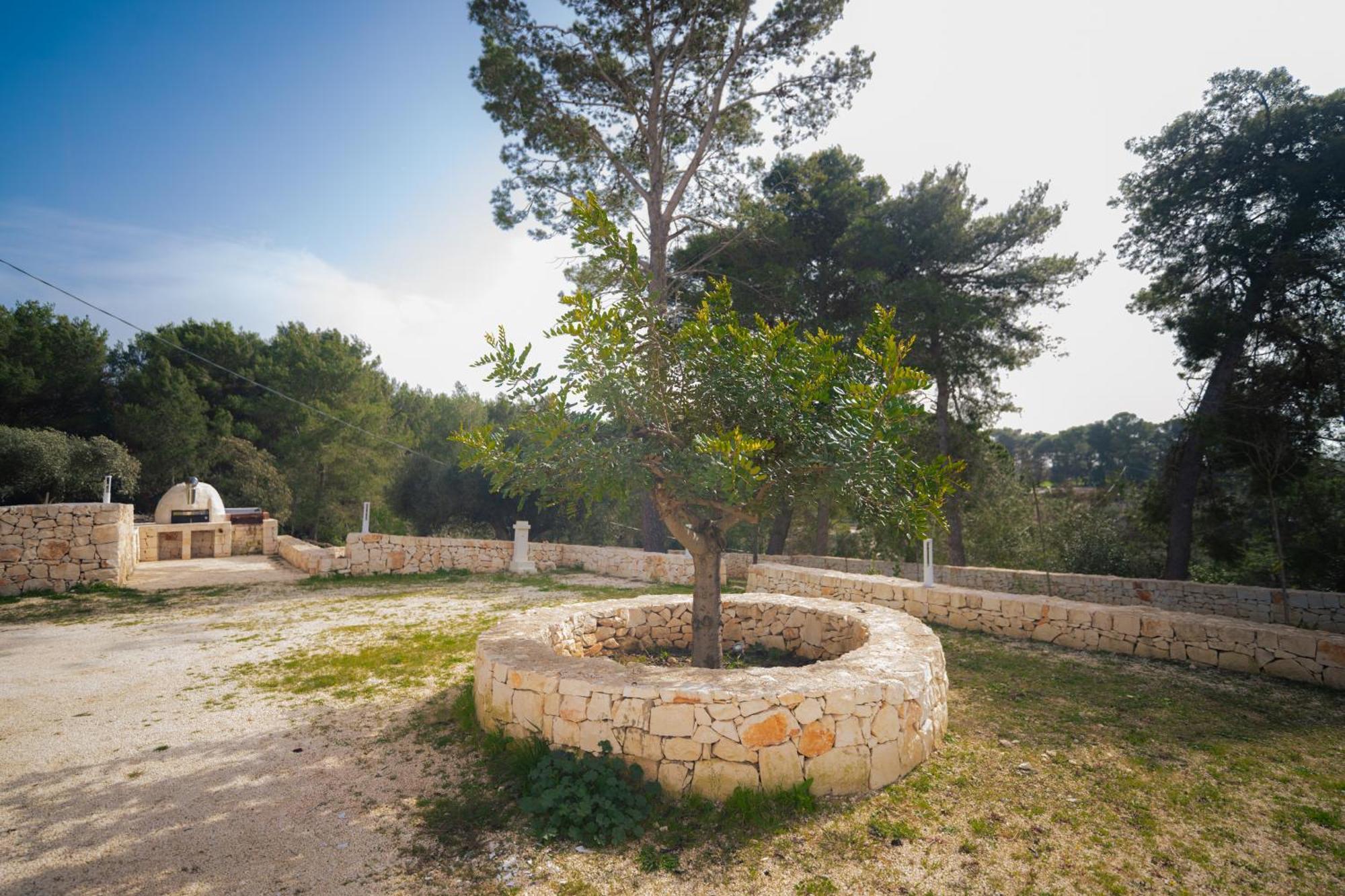 Trulli Magda Villa Martina Franca Ngoại thất bức ảnh