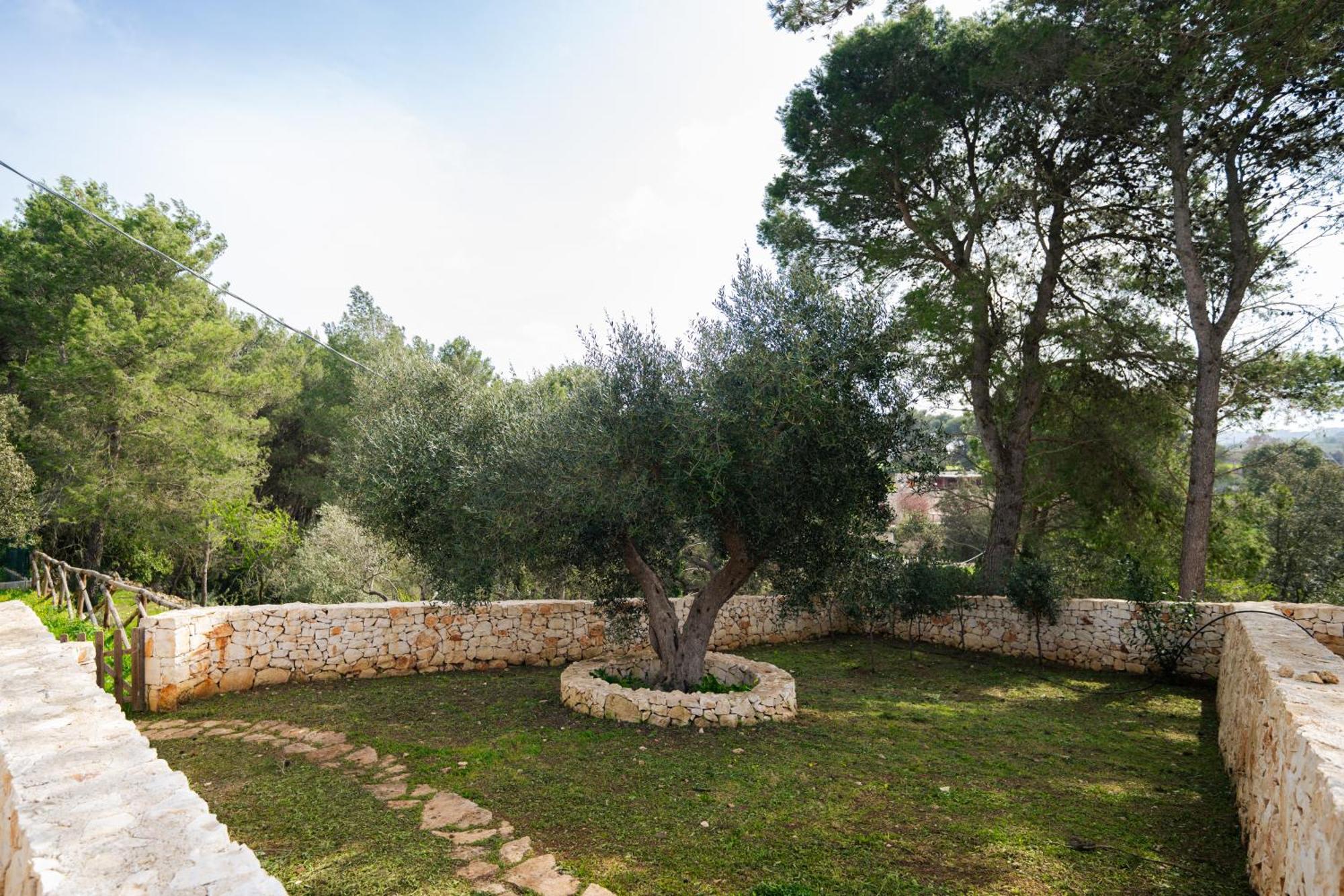 Trulli Magda Villa Martina Franca Ngoại thất bức ảnh